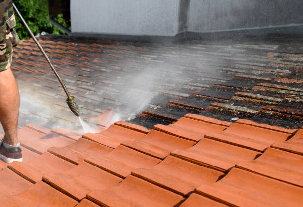 Best Power Washing Near Me  in Venetian Vlage, IL