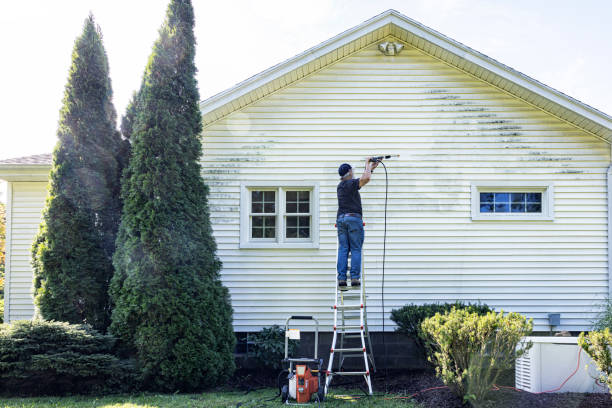 Best Residential Pressure Washing Services  in Venetian Vlage, IL