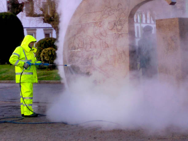 Best Fence Pressure Washing  in Venetian Vlage, IL