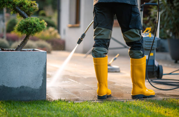 Best Roof Power Washing Services  in Venetian Vlage, IL